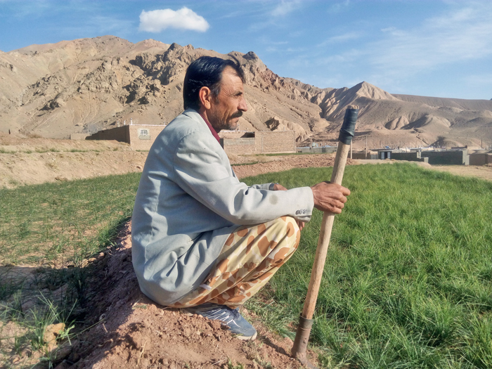 خرید زعفران