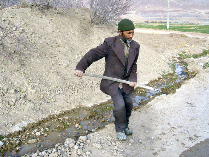 خرید زعفران غلامرضا زارعی