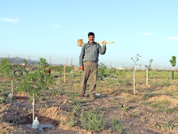 زرشک ناب