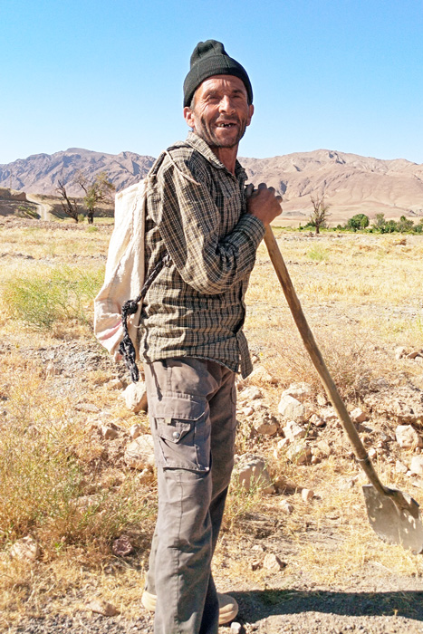 خرید زعفران برات زارعی
