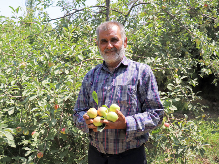 زعفران دست رنج کشاورز