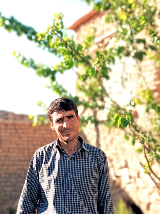 خرید زعفران کشاورز