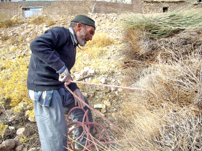 خرید زعفران کشاورز