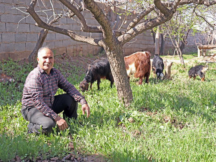 کشاورز زعفران