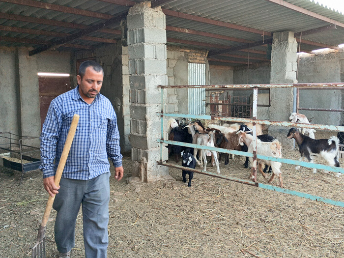 کشاورز محمود غلم حسن