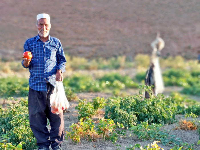 کشاورز کشمون