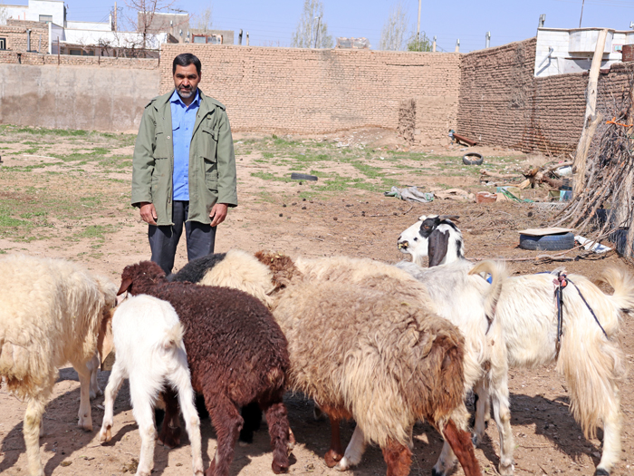 زرشک ناب قائنات