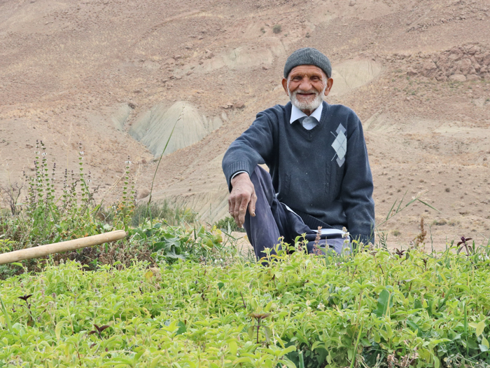  خرید زعفران