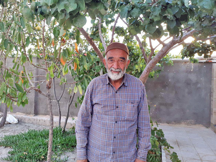 خرید زعفران از کشاورز