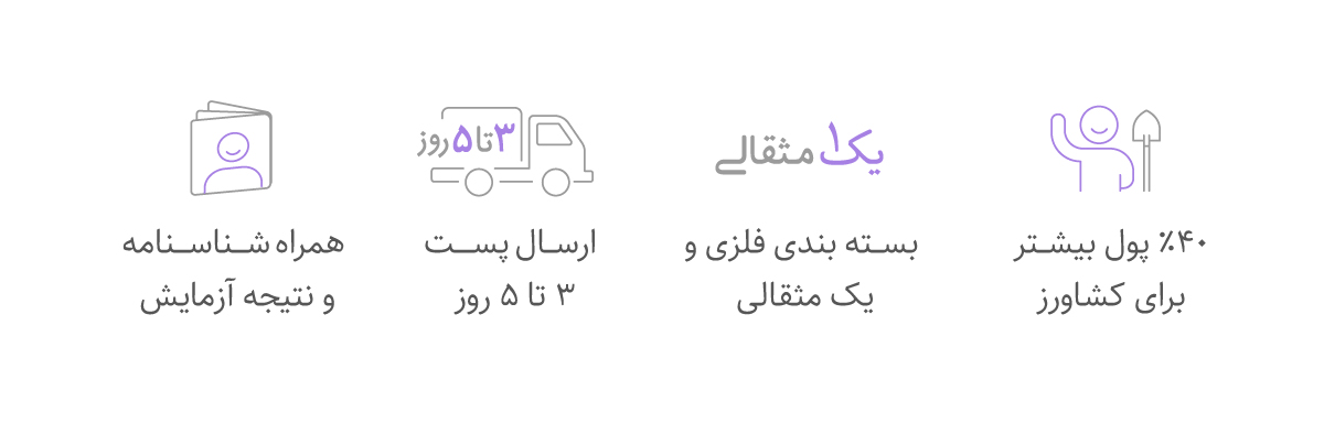 کشمون خرید زعفران از کشاورز