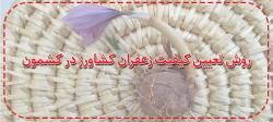 معرفی « شاخص کیفی کشمون » Keshmoon Quality Index