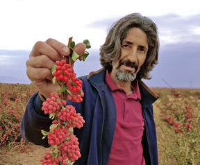 farmer image