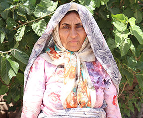 farmer image