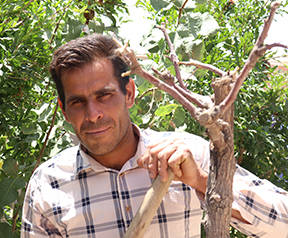 farmer image