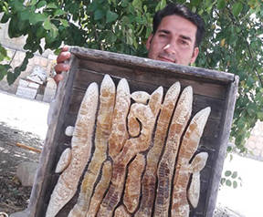 farmer image