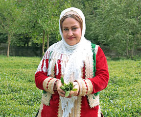 farmer image