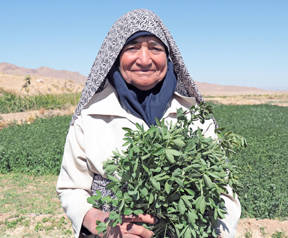 farmer image
