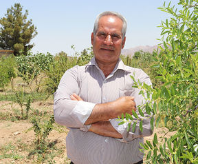 farmer image