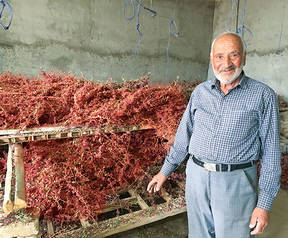 farmer image