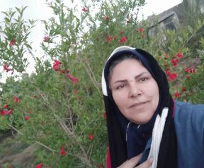 سکینه قربانی