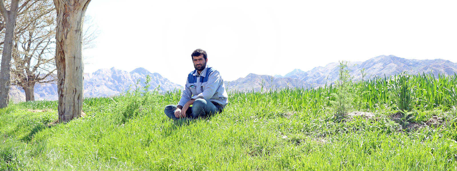 کاور