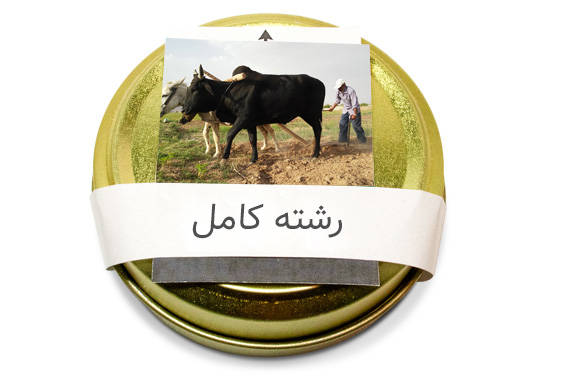 زعفران رشته کامل از مریم غُلُمرضا