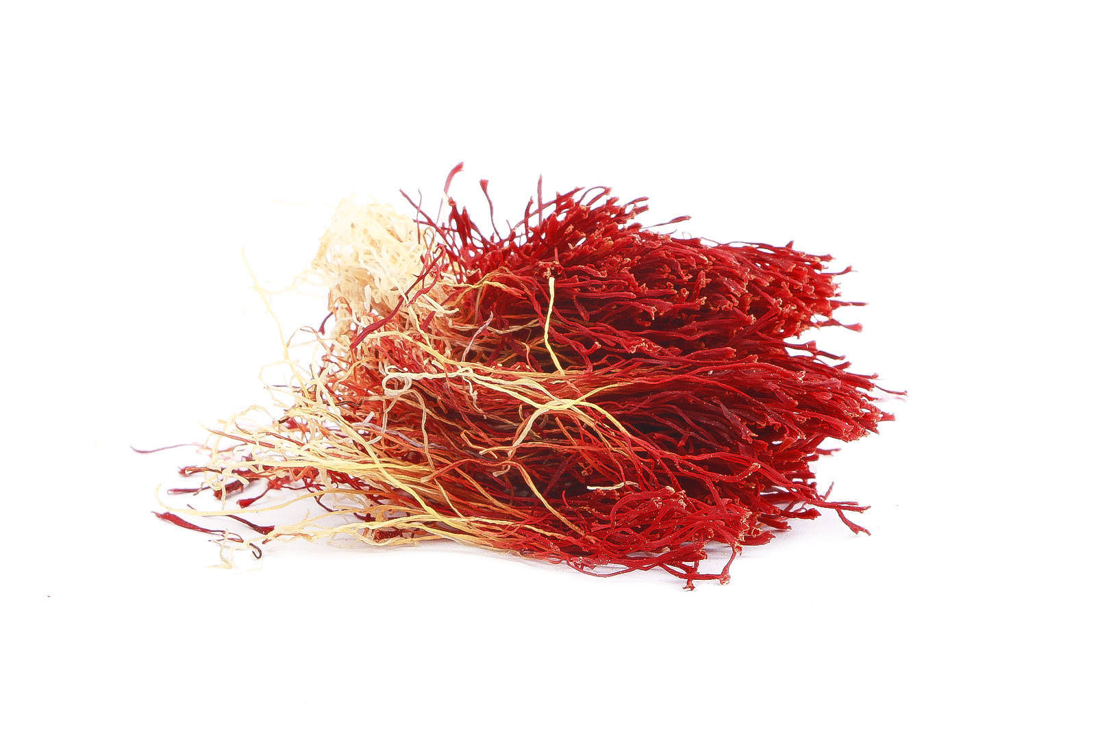 زعفران رشته کامل از جواد حاج علی 