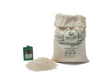 برنج پرمحصول شیرودی از حمید رستگار
